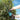 V2H5407A88AB0A3CDE8FF17C5003C3350D5R4436403P2