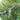 V2H5C29D90410119885BEB9F8142E9E7CC8R4469896P4