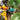 V2H63703B373EB874029558393290A9D280R4476104P3