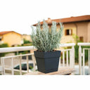 V2HB75C115938B5C3D3C1520D5427A2DE12R4263691P2