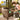 V4HD1F66E923982E1B4B05538DD0DA0ACCFR3434668P6