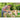 V4HDAF1B4DF01778DC85BF0A3C41D073AAAR3437494P4