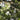 V2H224E6A9B68B464117C8BEED58CAF5CF2R4484106P2