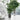 V2HDAF6CC14A2425748C3DE831D015248D4R4321794P5