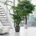 V2HDAF6CC14A2425748C3DE831D015248D4R4321794P5