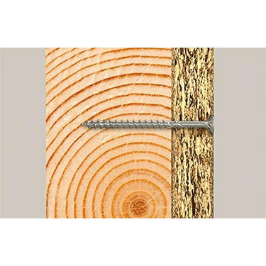 Caixa de parafusos Fischer 220 Peças