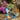 V2H9149C923E4D75B3ED4FC3736336FEE72R4322440P5