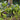 V2H130CE9E11D3EDCAEF2B0654BCC85CD44R4322449P7