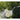 V3H163B38996CDAA5D3DE105F80DC516994R3437932P4