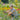 V3H382C925CE0EF1B0D4BB22C3EAFCEDF5CR4129705P4