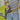 V2HFA6DC5BBD77888C25B9DAA9406BDF473R4571465P6