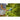 V5H9AD63FC5520428EED523CEB8893EE41CR3431920P5