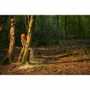 V4H3D747576879117D69BE18A53BB59C222R3428087P4