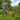 V4H10CF127A2B35B15CD871515885FDA2FCR3433873P2