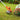 V4H31763BC3FAE52722133BCA9AD5D1BB72R3433876P3