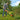 V2HDECA164AB938EA41238FD78E5EAC9AB7R4409764P3
