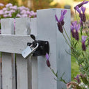 V2H09A7C6A1E220D5A1212AF09AC51542A2R4284758P4