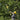 V3H7696548BB529BDE5381ADB2B204ACC88R3852006P5