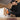 V4H9BFBB9CBD0AFA77F507922F92FFE25E9R3312133P6