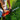 V2HEE63DFDCF20E7DE64C2628BF4CE44D44R4409747P2