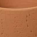 V2HF7696CF0C9B9B28A9EA847C7A19FE724R4589635P2