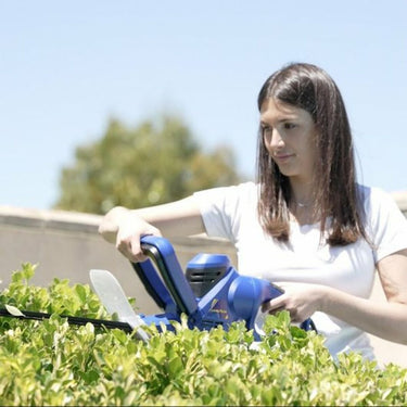 V2HDCD99375DEDD7BE35502908F721AD480R4243221P4