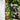 V4H34FB4CA93E26CDA19ED6AA071E13045FR3383625P3