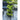 Nature Conjunto móvel vertical de jardim