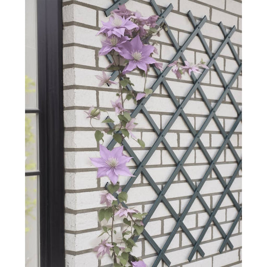 Nature Treliça de jardim 50x150 cm PVC antracite