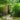 Nature Arco de jardim 100x37x230 cm metal preto