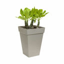 V3H24083AB555D6DEE0F3A05D2D7A152B5CR4005359P2