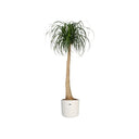 V4HBE9FF390B476378EF2D449C758CCB707R3441688P3