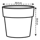 V4H662EDD7BB9800D028EA886CAFF804954R3430757P4