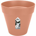 V4H2DAA9A4FD0019AFF49E594FECDE907EER3437484P1