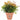 V4H3520ADC7435BE3BF77F50D4CE5FFC3D5R3437496P4