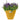 V4HAF3C5772637E99C70678FEAE36F61825R3441261P4