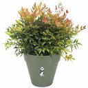 V4H3476C0978701B45C3D6D43750DCBD0C5R3441360P5