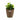 Macetero Stefanplast Marrón Plástico 24 x 22,5 x 24 cm (6 Unidades)