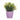 Plantador Stefanplast Academy Plástico 11,3 x 10 x 11,3 cm (60 Unidades)