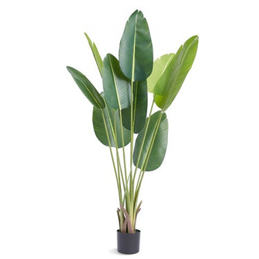 Planta Artificial Paradiesvogel , 1.52m, Decoração Resistente à Água