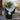 Nature Protetor de plantas contra geada 30 g/m² 4x6 m branco