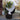 Nature Protetor de plantas contra geada 30 g/m² 2x10 m branco