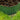 Nature Limitador de bordas de jardim 0,2x9 m verde