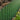 Nature Limitador de bordas de jardim 0,25x9 m verde