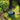 Nature Limitador de bordas de jardim 0,15x10 m verde