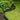 Nature Limitador de bordas de jardim 0,15x10 m verde