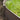 Nature Estacas de enterrar para jardim 10 pcs cinzento-acastanhado