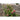 Nature Treliça de jardim 45x180 cm bambu 6040720