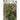 Nature Treliça de jardim 100x200 cm bambu 6040722