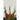 Nature Conjunto treliça em arame para plantas trepadeiras 6040760